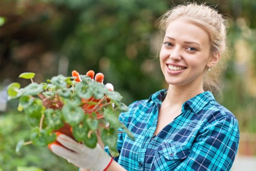 Professional lawn mowing service in Shortlands