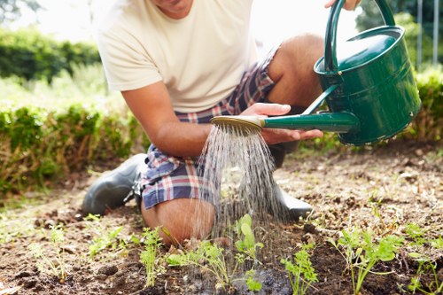 A person kneeling on a vegetable garden bed in a residential outdoor space, watering young plant seedlings with a green watering can during daytime with natural sunlight. The garden features a neatly maintained patch with dark, moist soil, small green plants, and a surrounding hedge or shrubbery in the background. The scene suggests careful gardening and outdoor maintenance typical of a suburban garden, with a focus on healthy plant growth and soil hydration. This setting aligns with gardening services offered by Lawn Mowing Shortlands, particularly in the South London area, including Shortlands and nearby postcodes, emphasizing quality lawn and garden care in a landscaped outdoor environment.