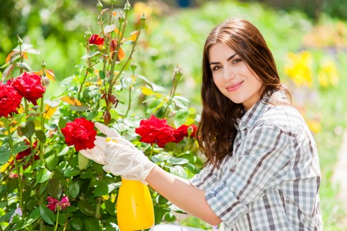 Professional landscaper planning a garden design in Shortlands