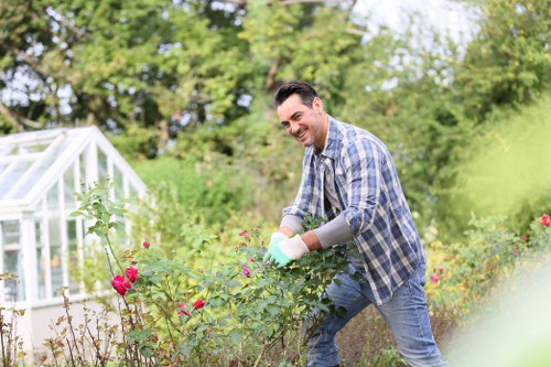 Why choose Lawn Mowing Shortlands for your lawn care