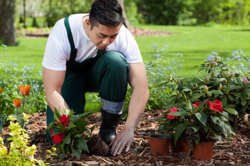 Affordable garden clearance solutions for Shortlands residents