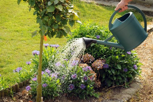 Our skilled team performing lawn mowing services