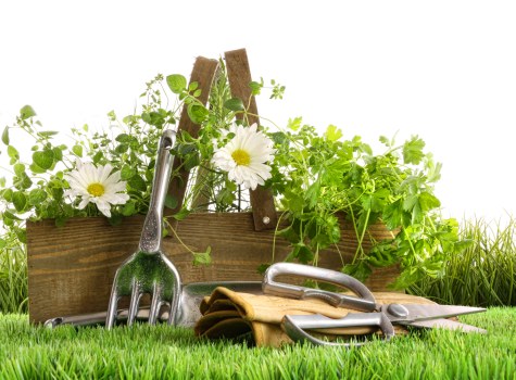 Eco-friendly decking materials and sustainable design elements