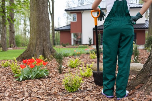 Comprehensive lawn maintenance services in Shortlands