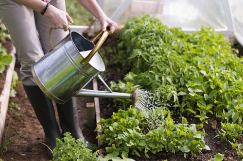 Healthy green lawn maintained by professionals