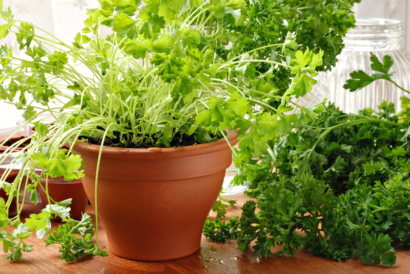 garden property